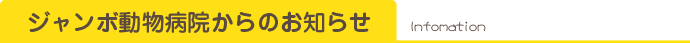 ジャンボ動物病院からのお知らせ